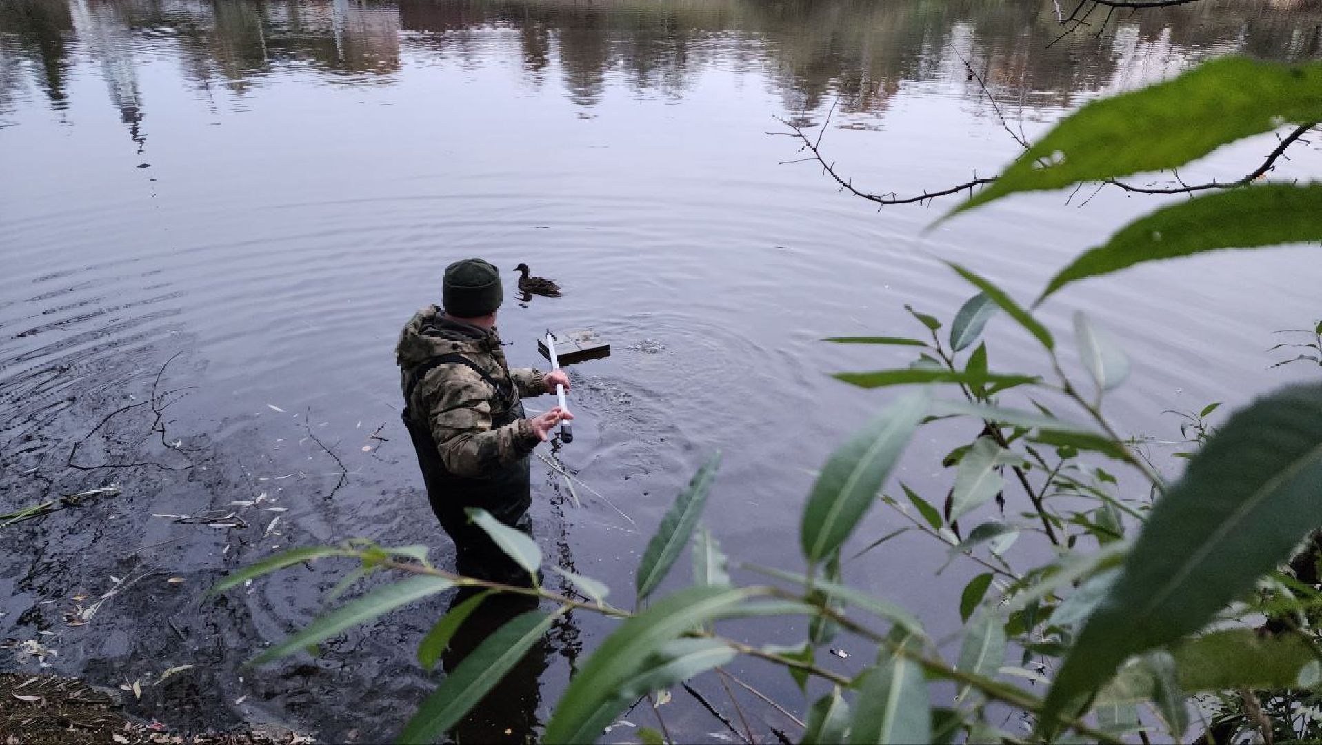 Дмитров, Подсадные утки, Соревнование охотников,