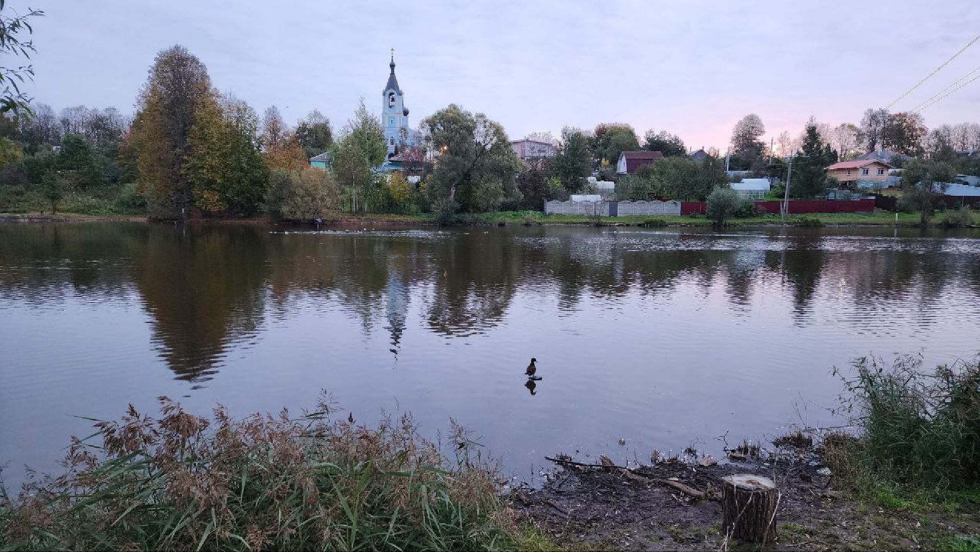 Дмитров, Подсадные утки, Соревнование охотников,