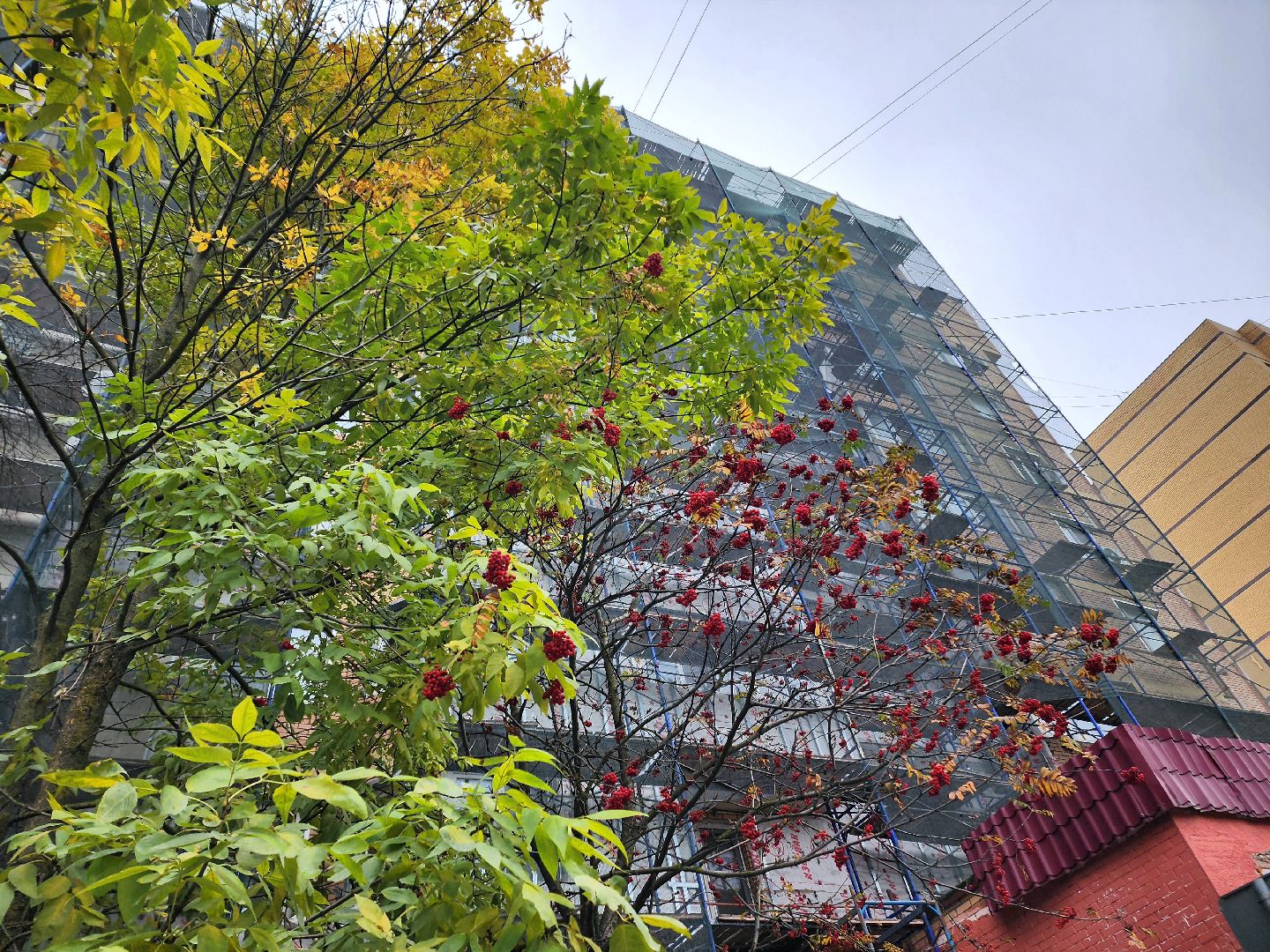 солнечногорск, ремонт , дома, жители , фасад,