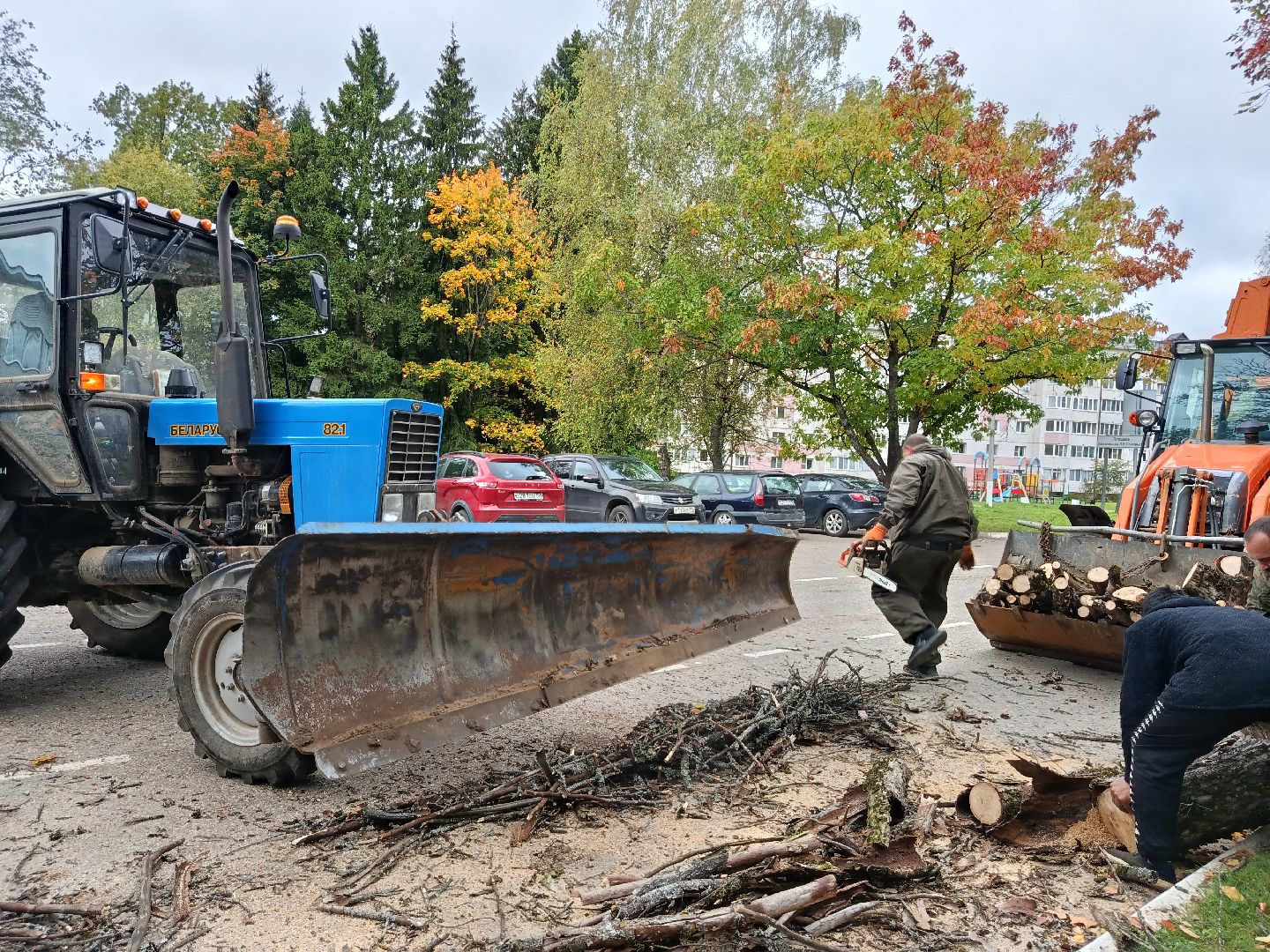 городской округ восход, благоустройство, сухостой, спил деревьев, сухостойные деревья,
