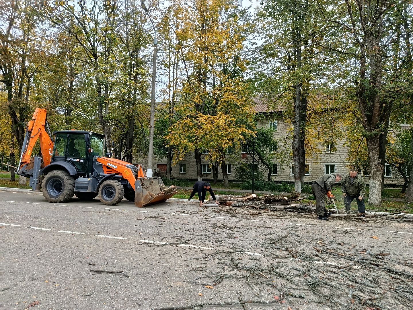 городской округ восход, благоустройство, сухостой, спил деревьев, сухостойные деревья,