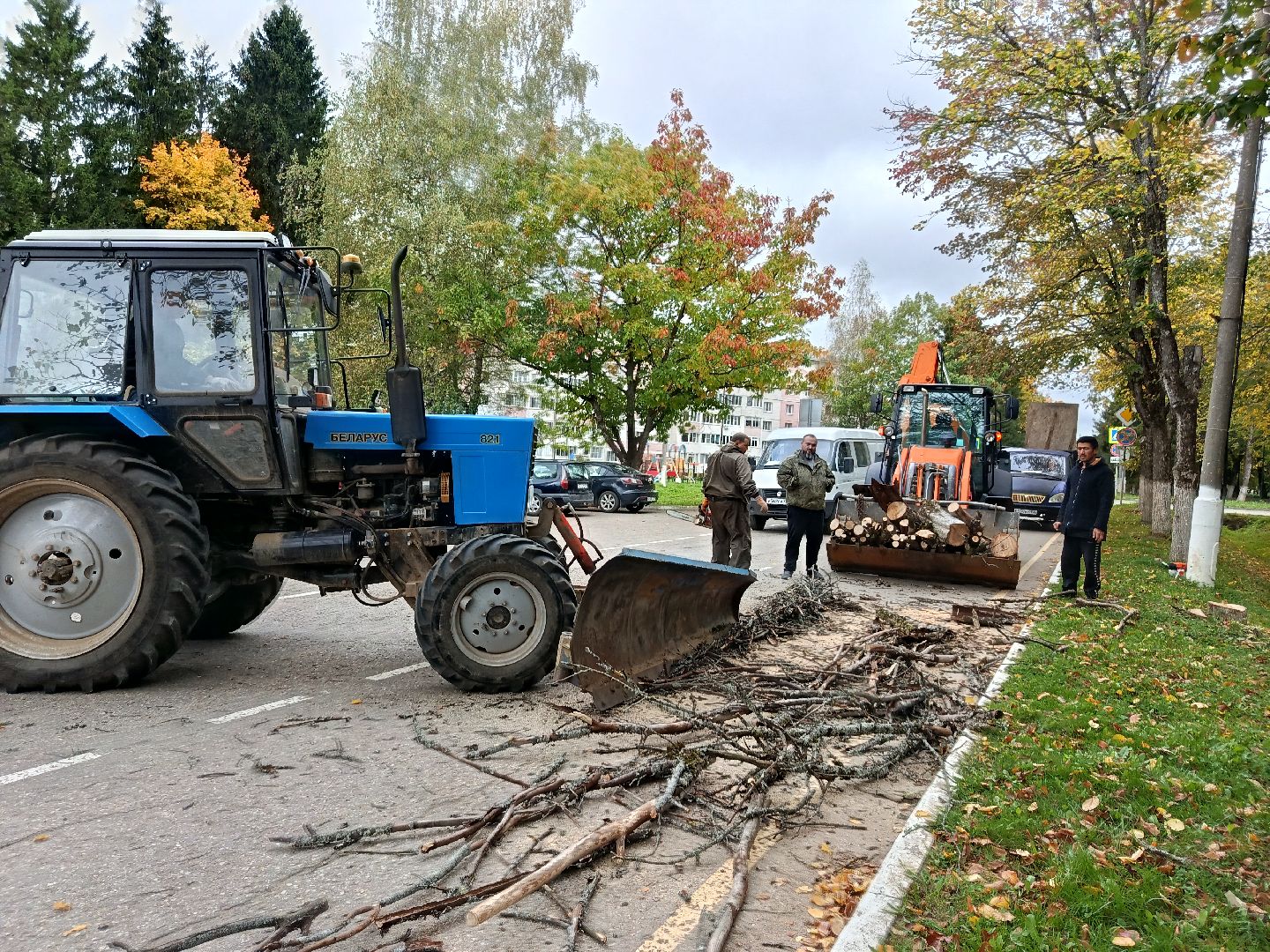 городской округ восход, благоустройство, сухостой, спил деревьев, сухостойные деревья,