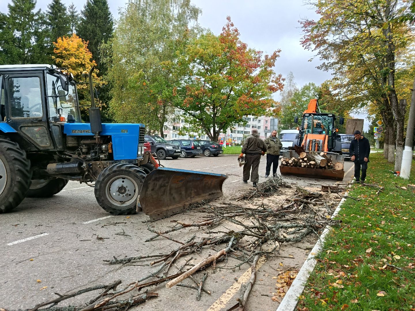 городской округ восход, благоустройство, сухостой, спил деревьев, сухостойные деревья,