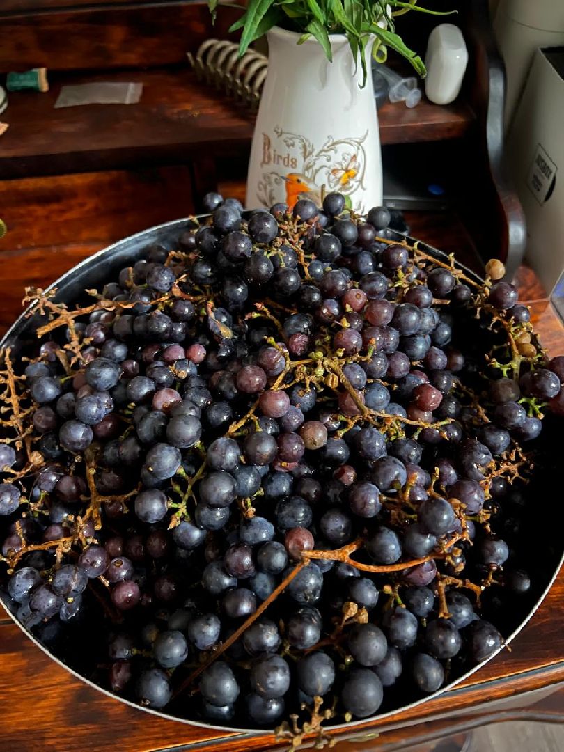 Общество , Экономика, ярмарка фермерских продуктов,