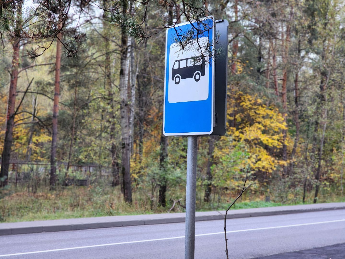 общественный транспорт, остановка, автобусная остановка, старая купавна, богородский городской округ,