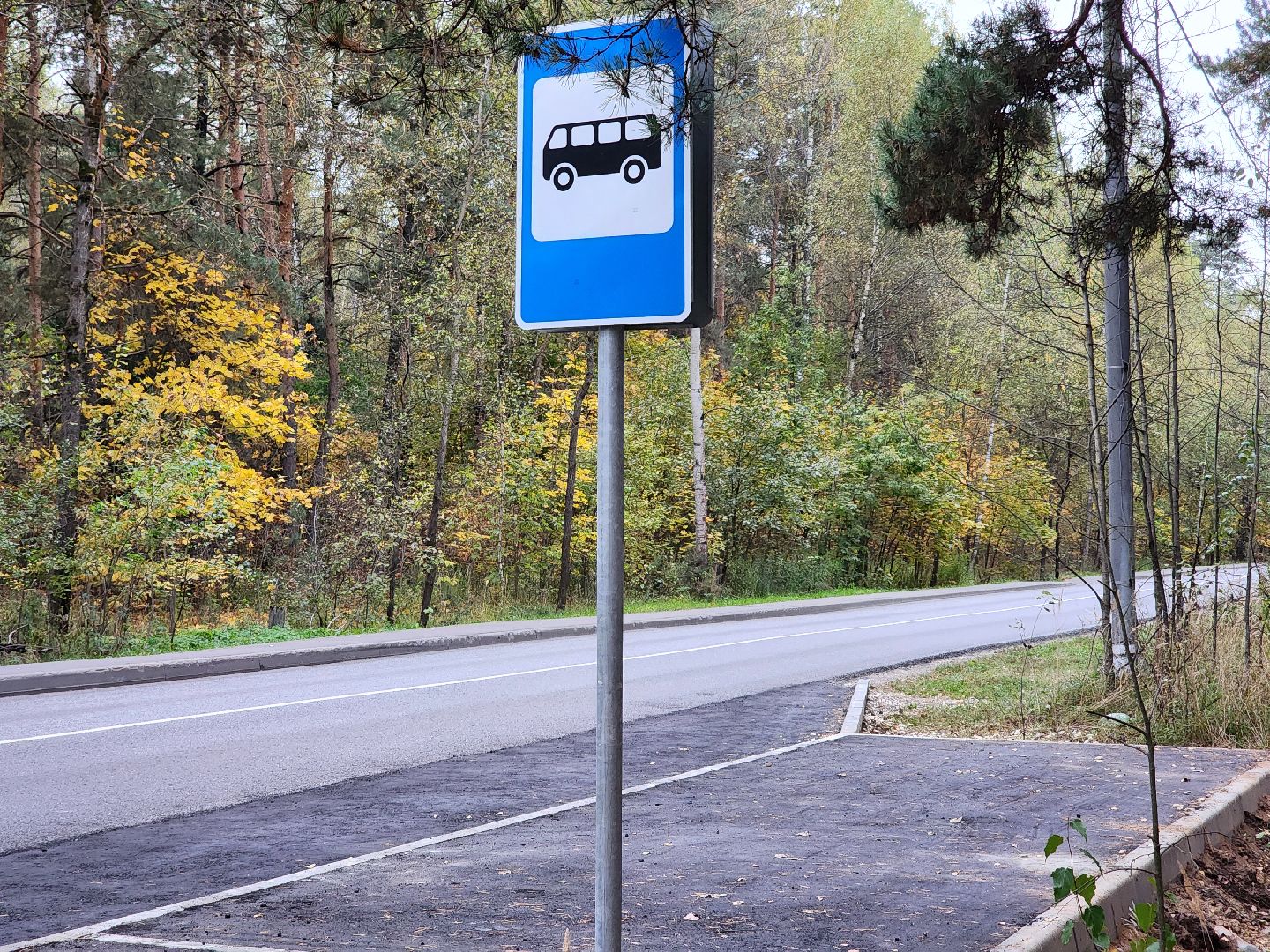 общественный транспорт, остановка, автобусная остановка, старая купавна, богородский городской округ,