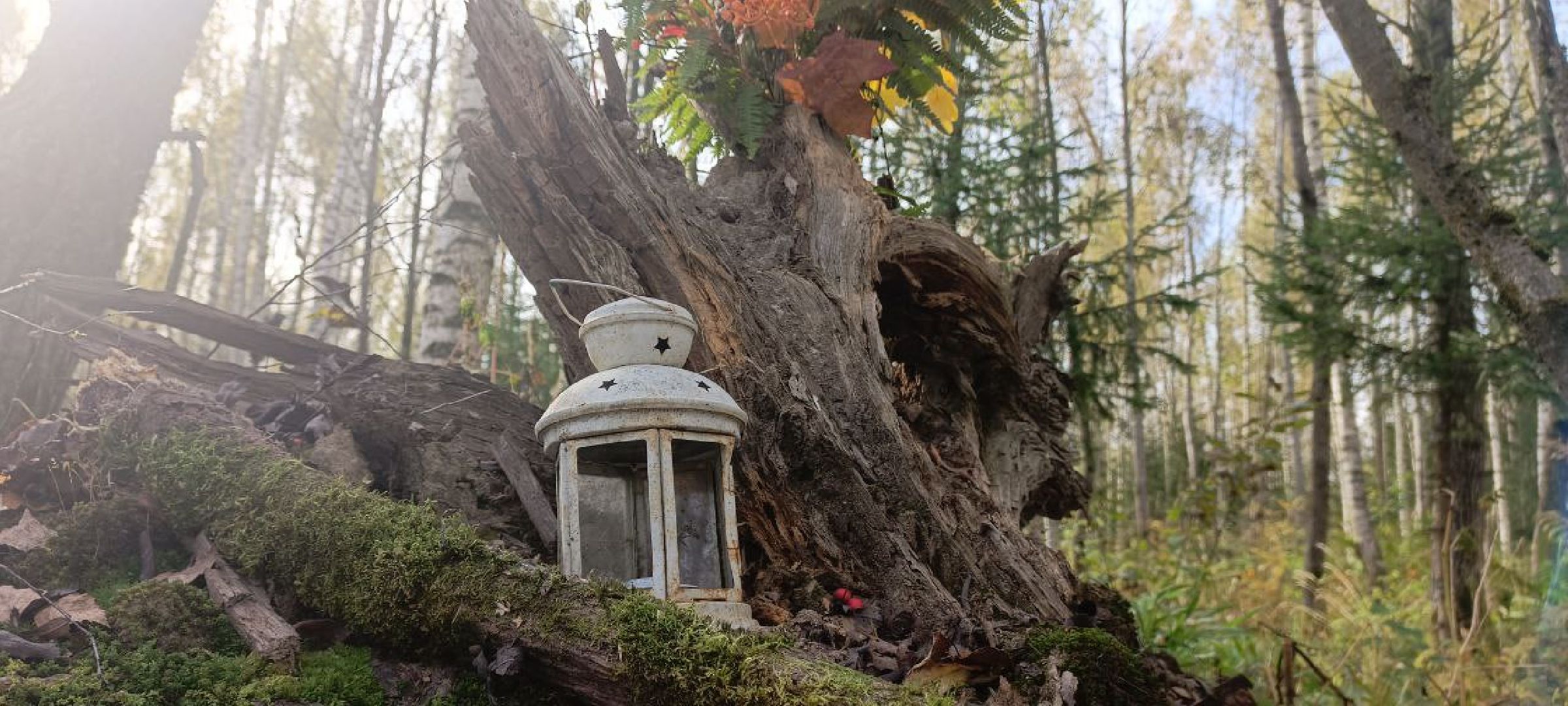 Дмитров, ЖК Мечта, Парк Ежик, Минблаго,