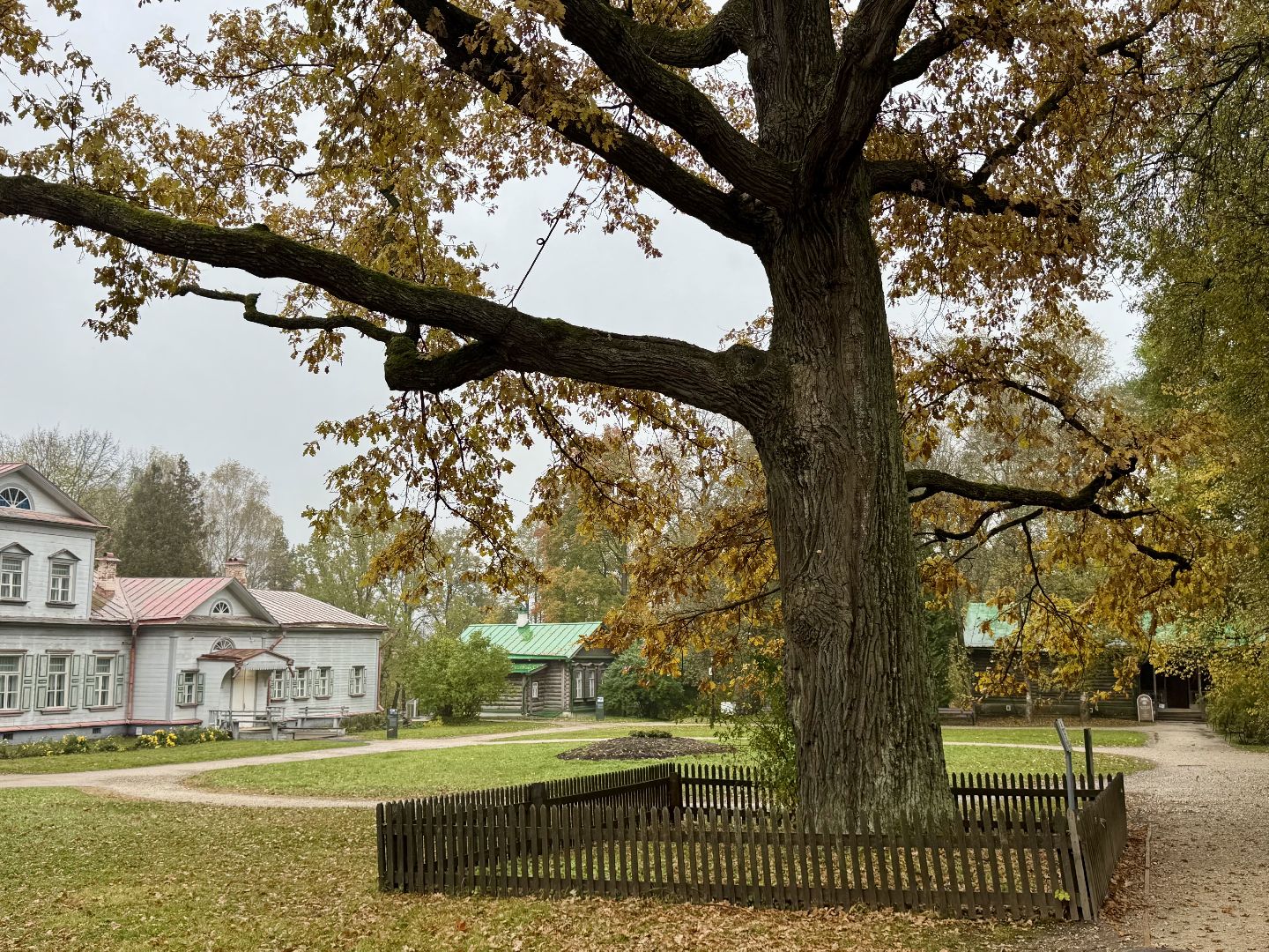 Абрамцево, музей-заповедник абрамцево, абрамцевский дуб,