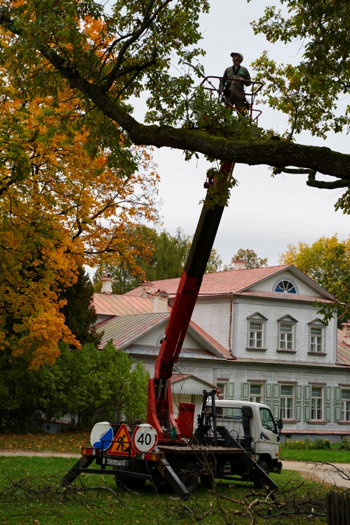 Абрамцево, музей-заповедник абрамцево, абрамцевский дуб,