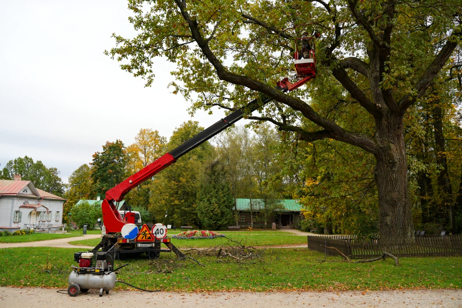 Абрамцево, музей-заповедник абрамцево, абрамцевский дуб,