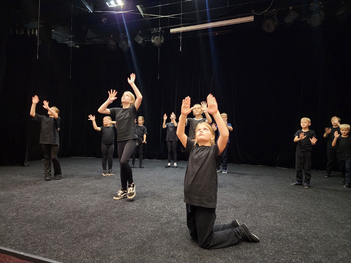 Подольск, Театральный коллектив, Театральное объединение, Птица вольная ,