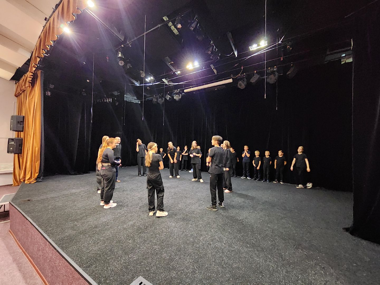 Подольск, Театральный коллектив, Театральное объединение, Птица вольная ,