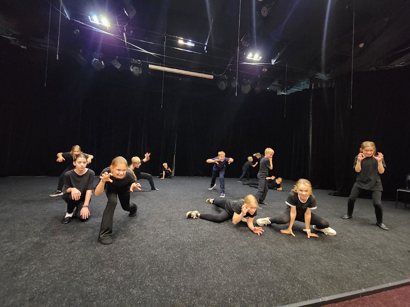 Подольск, Театральный коллектив, Театральное объединение, Птица вольная ,