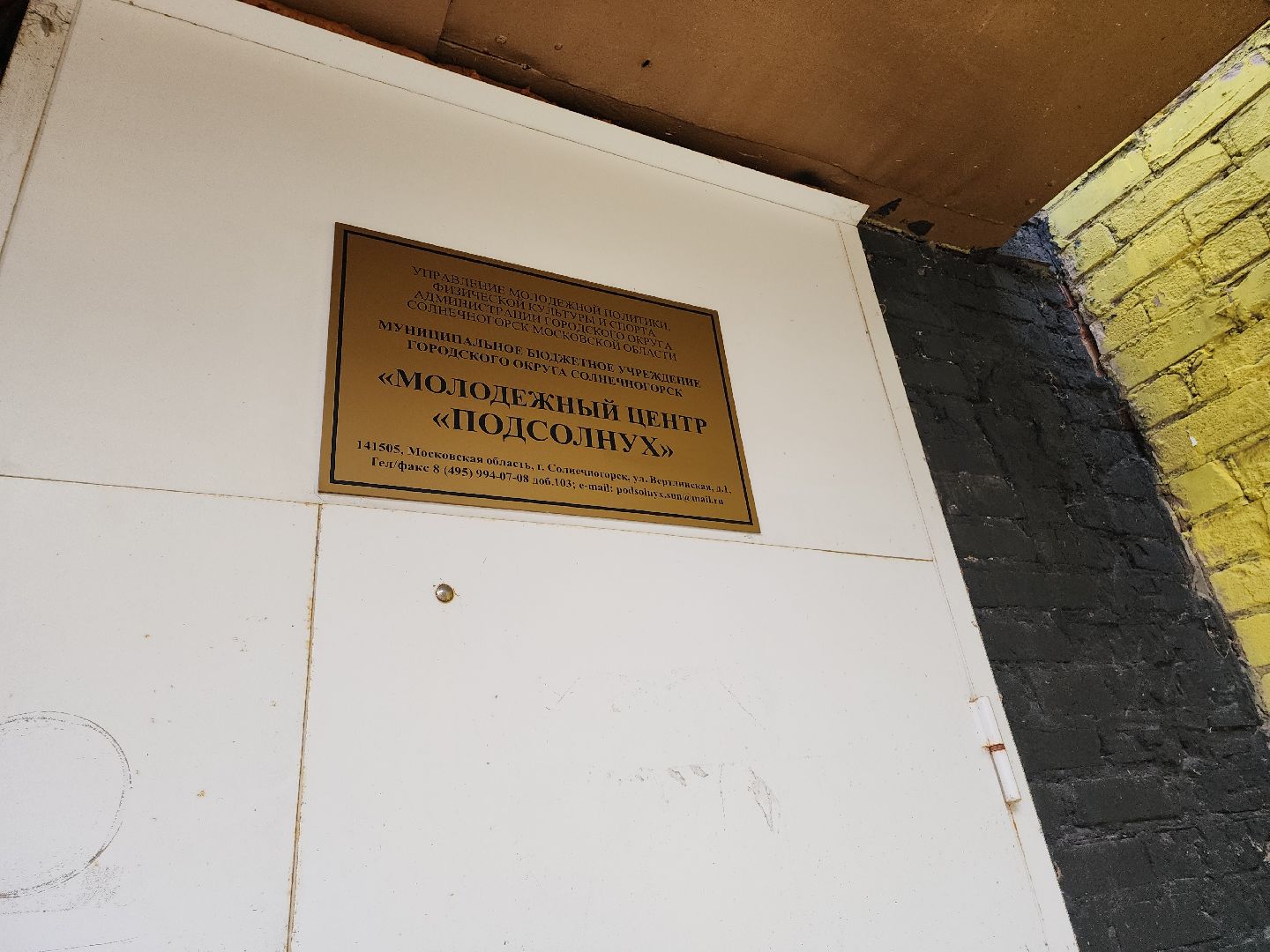 солнечногорск, знания, квиз, молодежь , каникулы ,