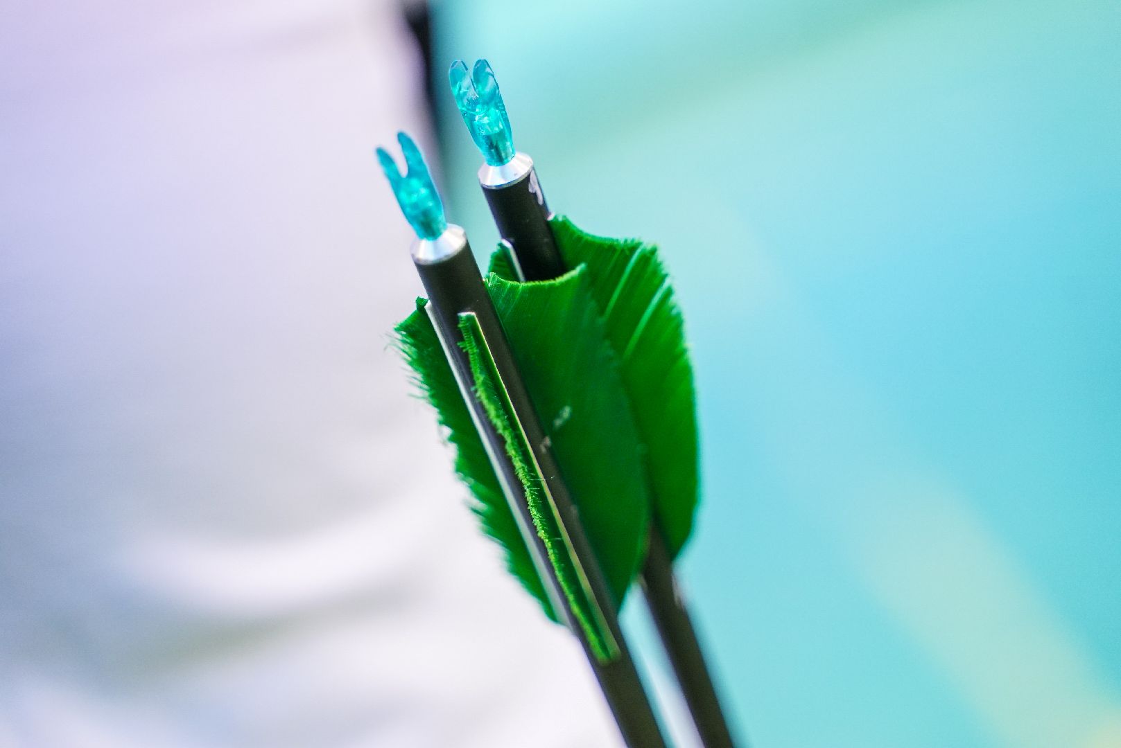 лук, стрельба, кубок,