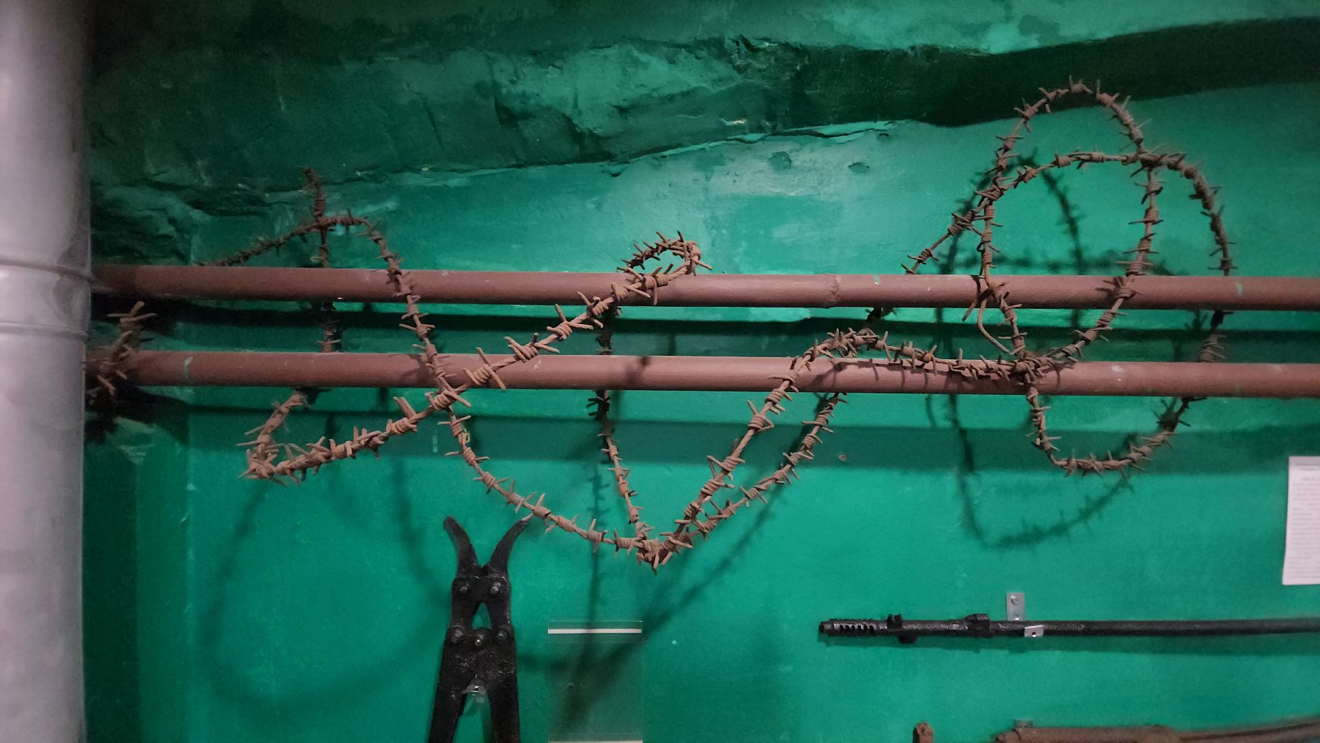 искатель, патриотизм, общественная организация , красногорск,