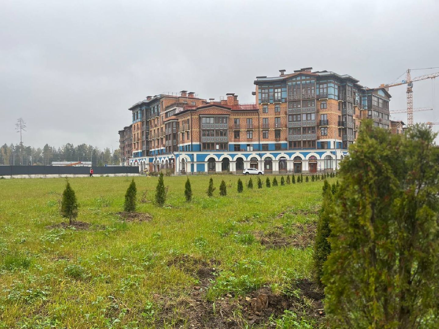 благоустройство, красногорск, аллея,