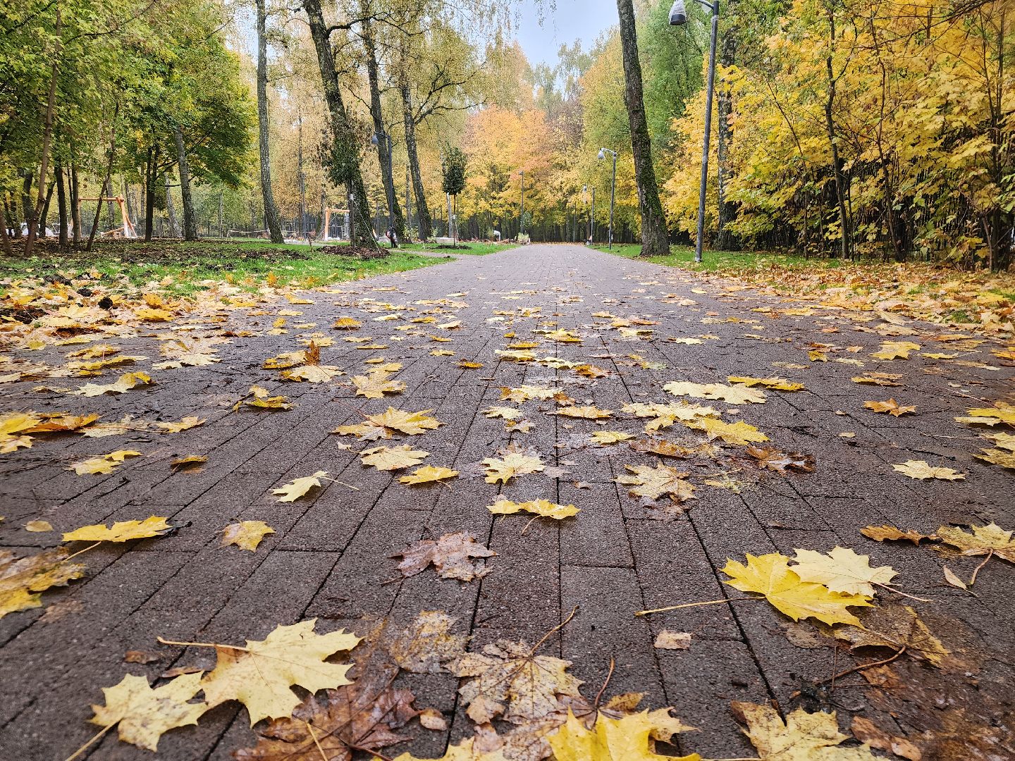 Подольск , Благоустройство , Лесопарк березки,