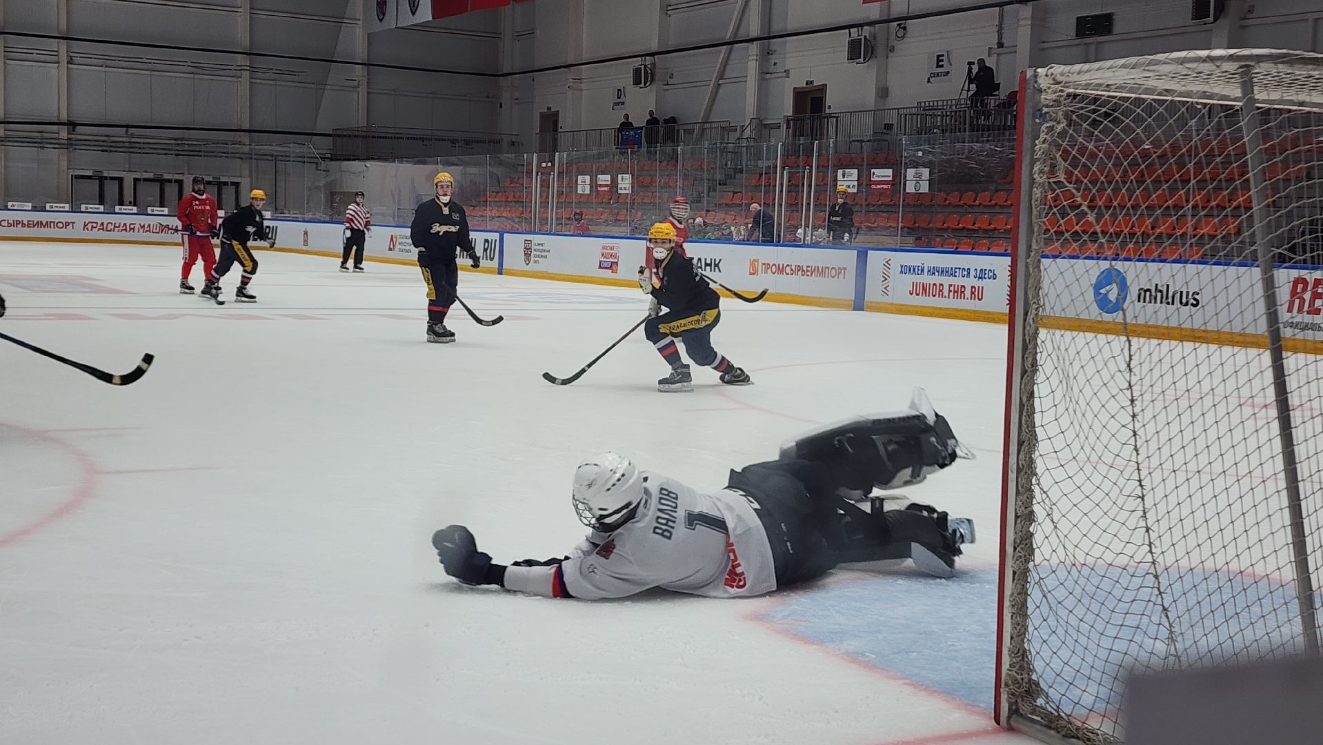 международный турнир, русский хоккей, хоккей с мячом, зоркий, красногорск,
