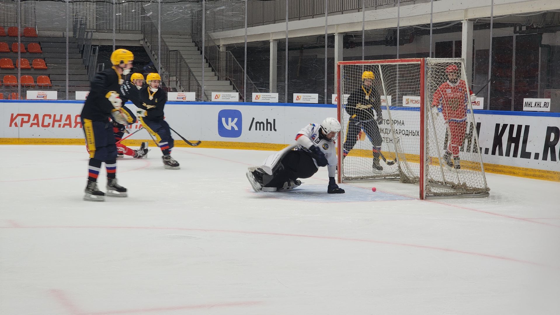 международный турнир, русский хоккей, хоккей с мячом, зоркий, красногорск,