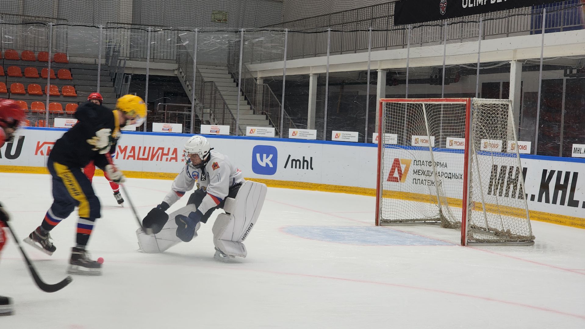 международный турнир, русский хоккей, хоккей с мячом, зоркий, красногорск,