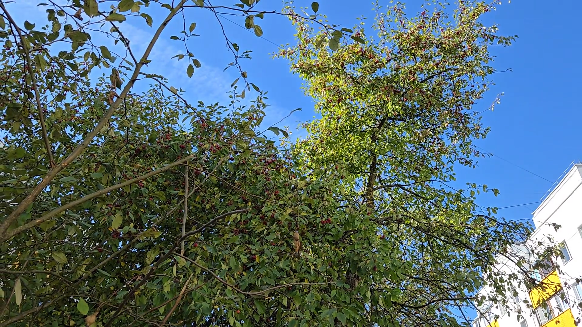 ремонт дома, ремонт подъезда, власиха заозерный, благоустройство территории,