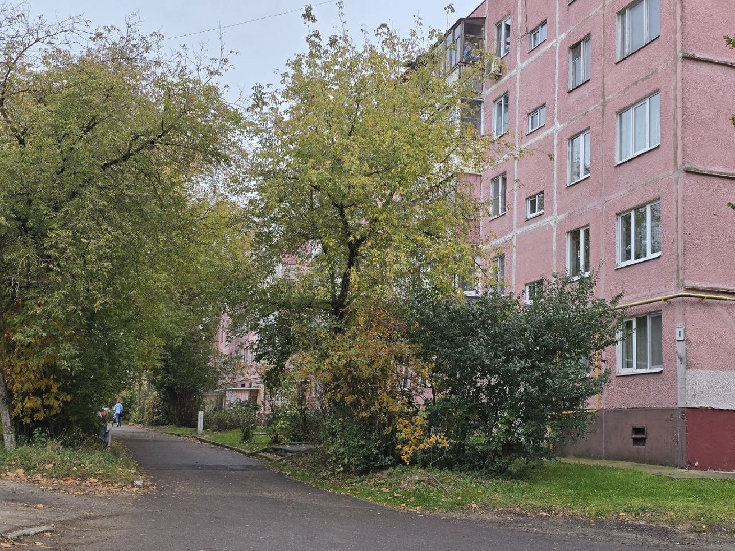 можайск, можайский муниципальный округ, подмосковье, благоустройство, уборка дворов, уборка дворов осенью, единый дорожно-транспортный центр,