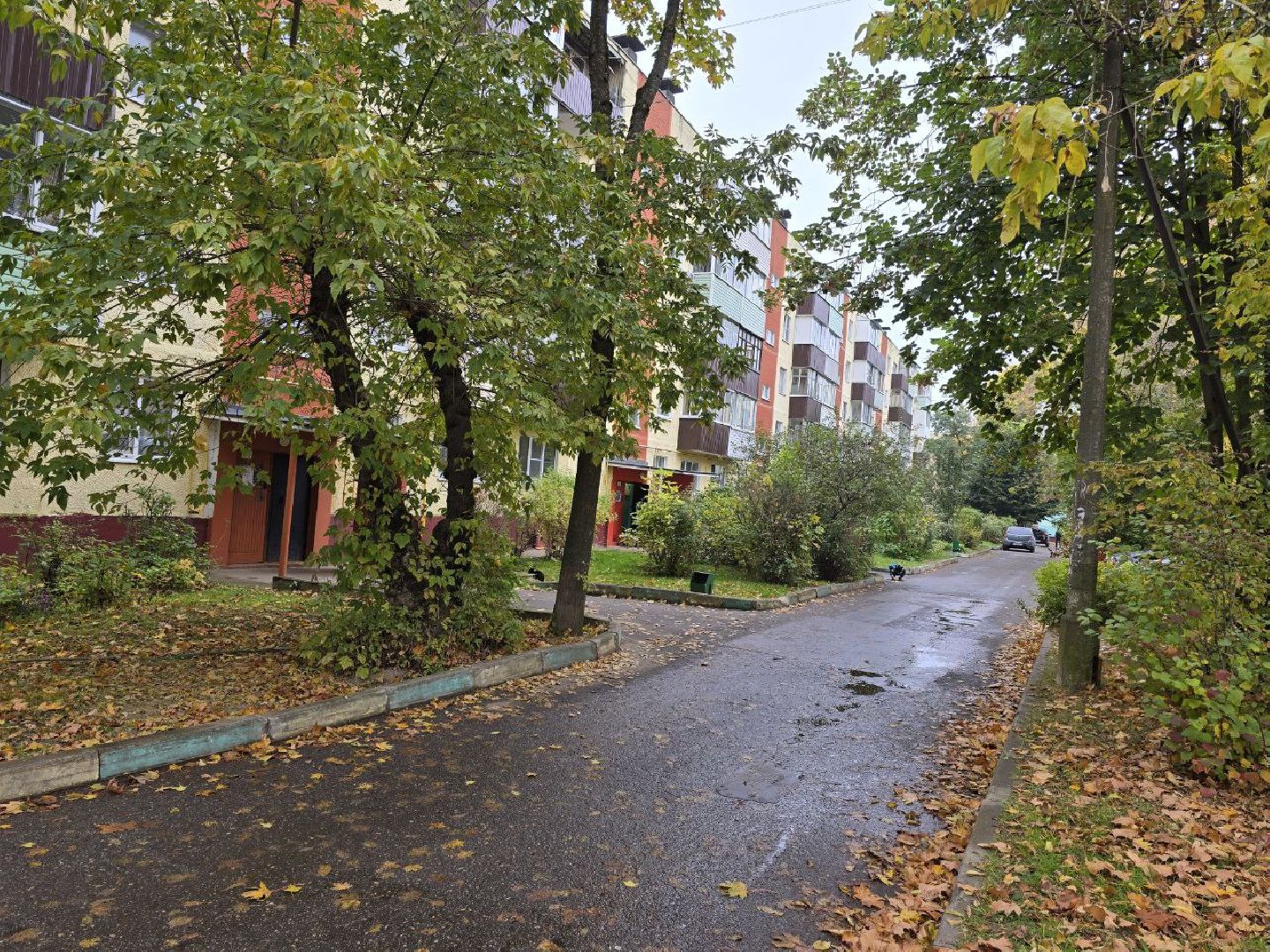 можайск, можайский муниципальный округ, подмосковье, благоустройство, уборка дворов, уборка дворов осенью, единый дорожно-транспортный центр,