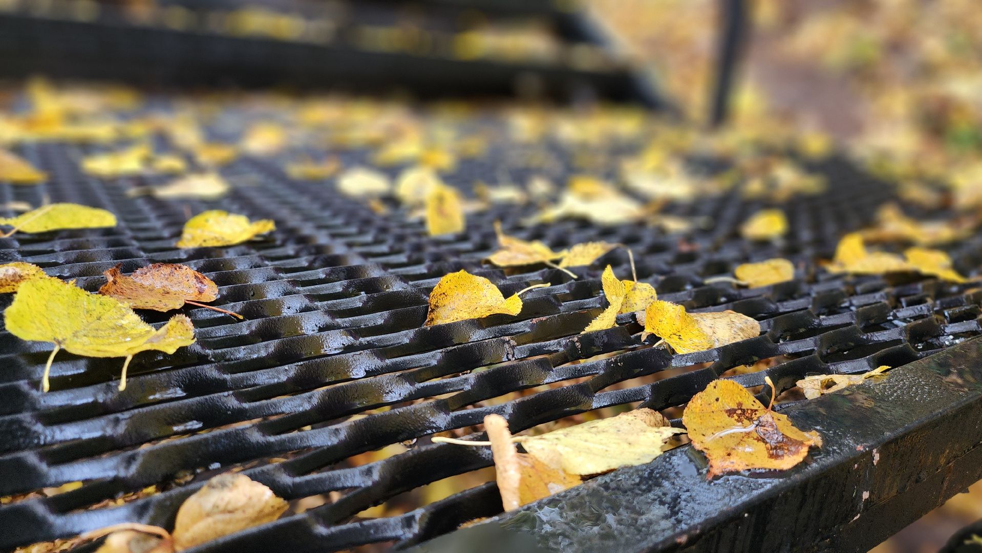 Руза, парк городок, новая лестница, благоустройство,