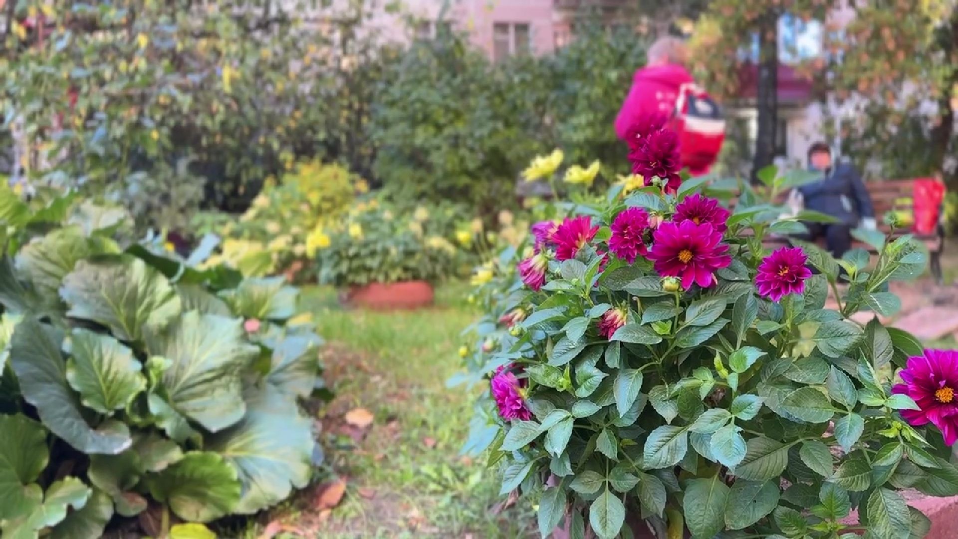 Реутов, благоустройство, сквер, клумбы, цветы,