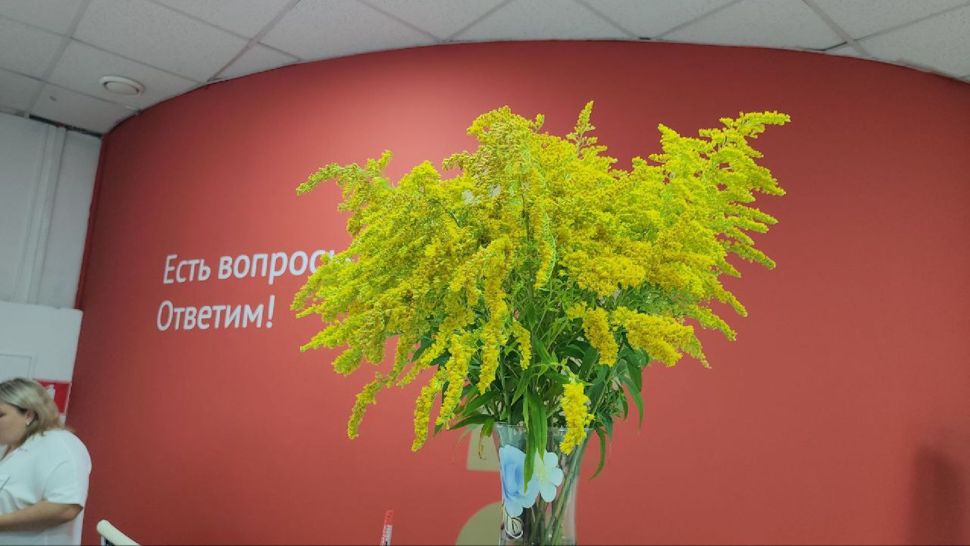 луховицы, мфц, каширский оператор,