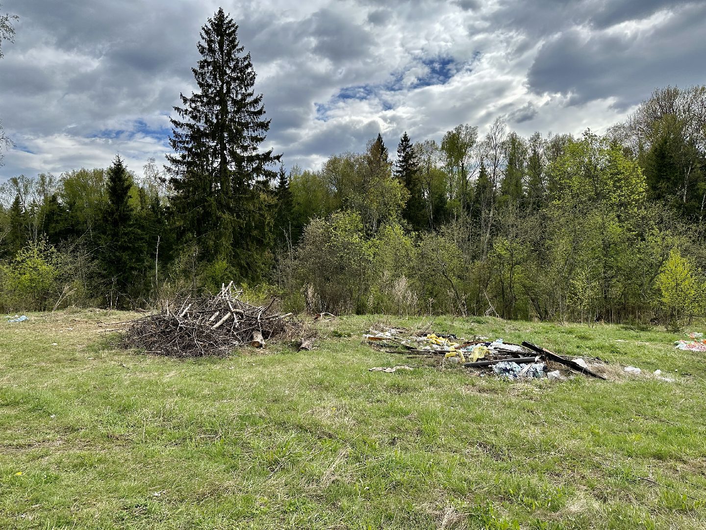Клин, экология, нарушение закона, свалки