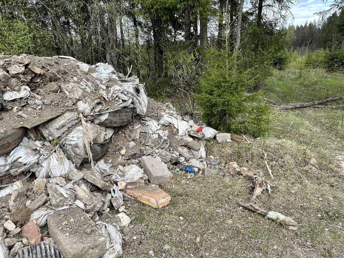 Клин, экология, нарушение закона, свалки