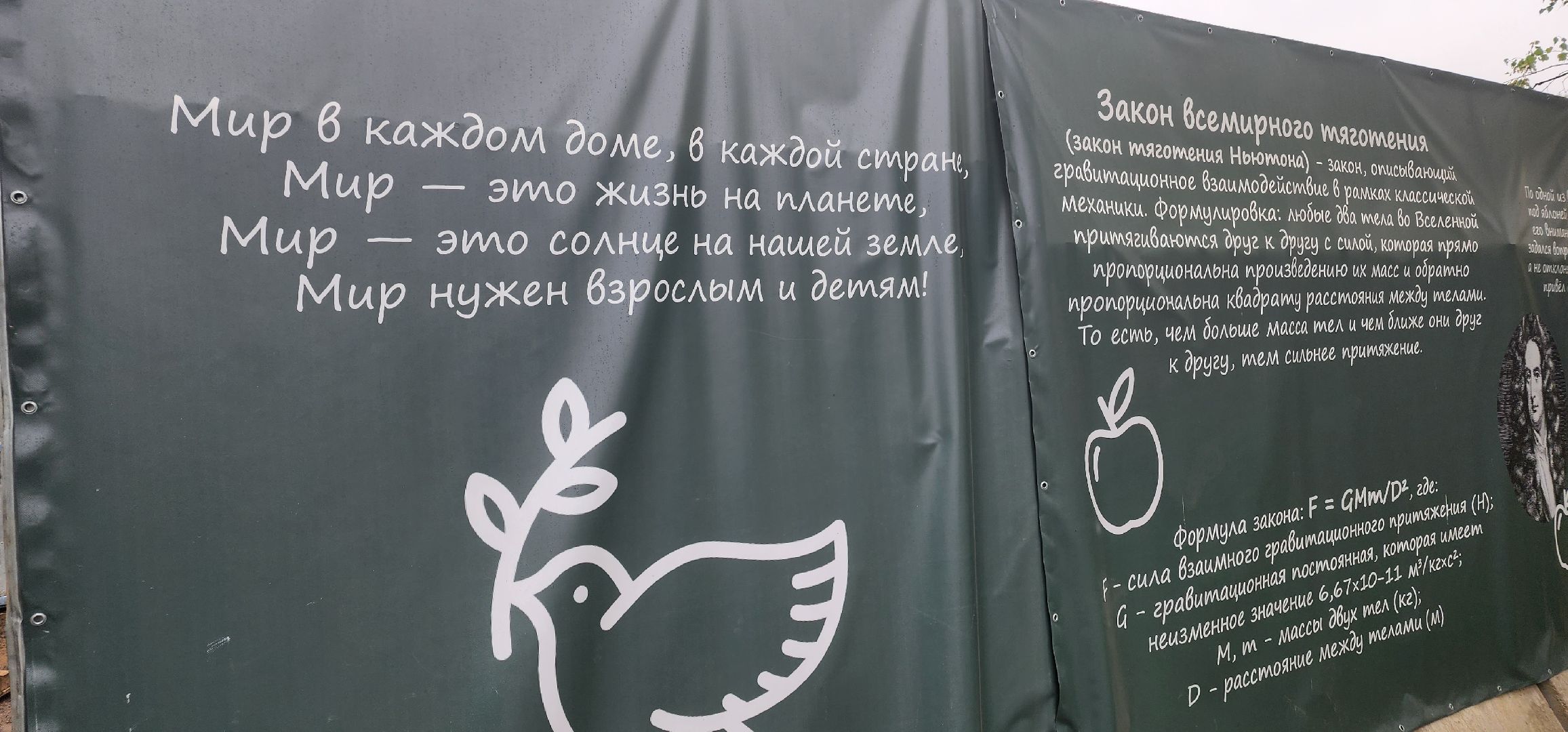 долгопрудный, школа 7, герб школы, гимн школы, кадетские классы,