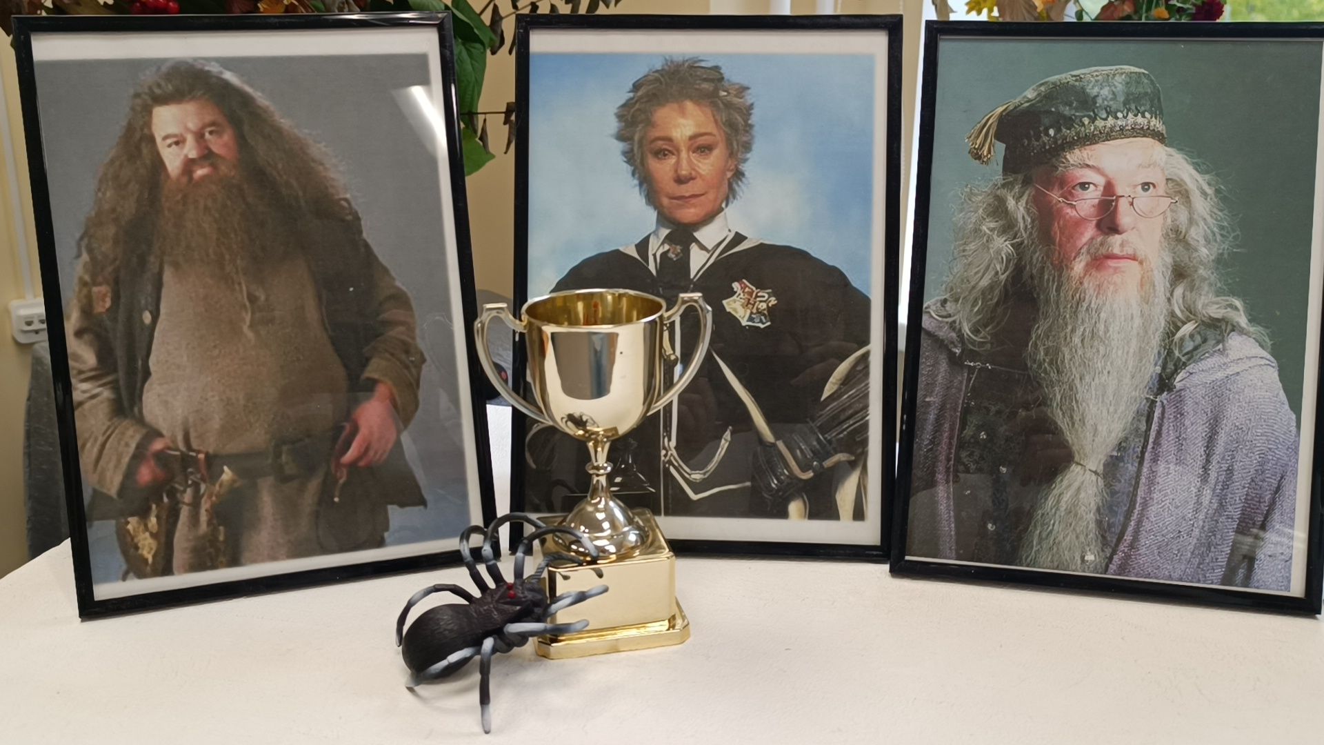 гарри поттер, лобня, клуб,