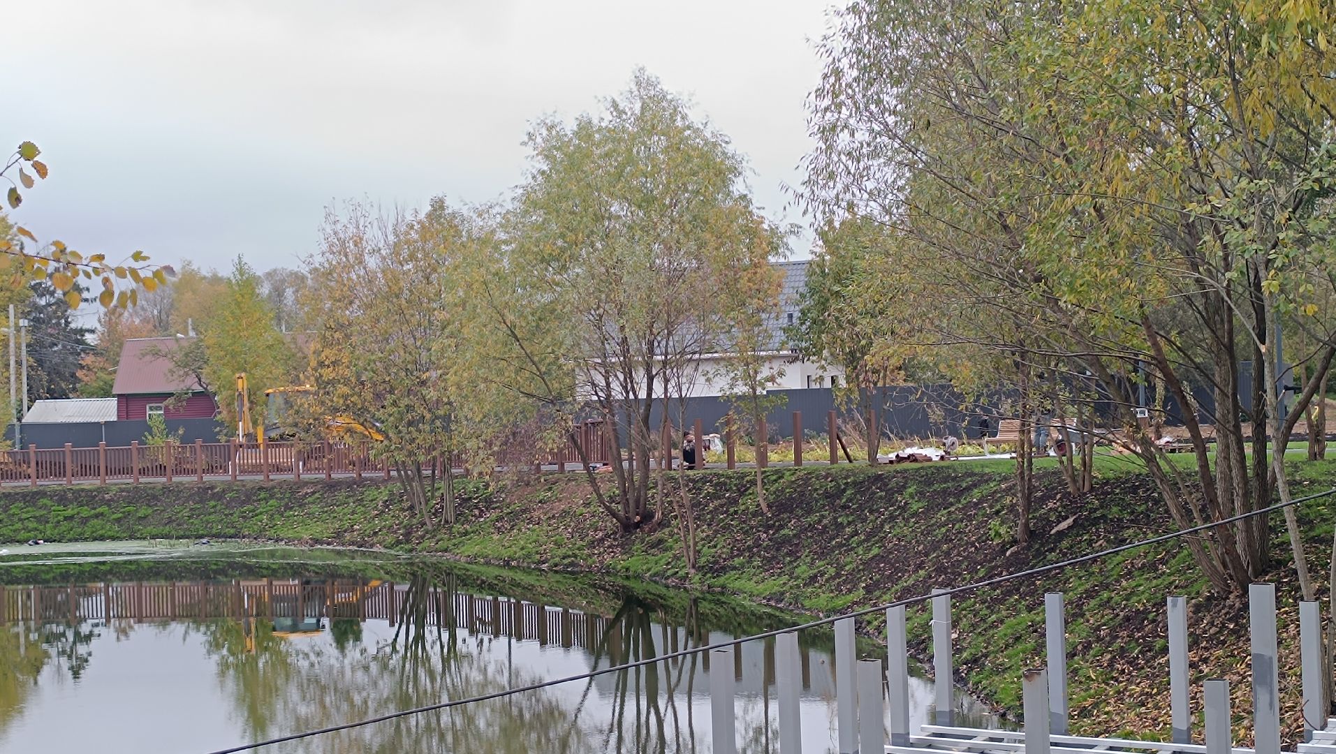 парк, лобня, собака,