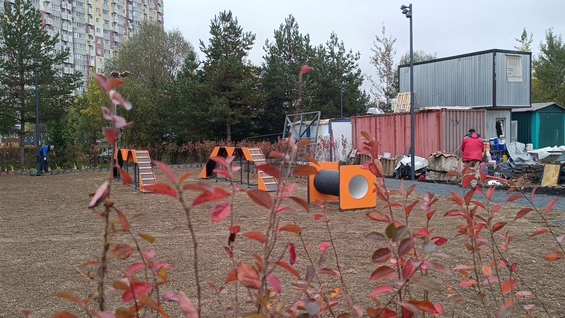 парк, лобня, собака,