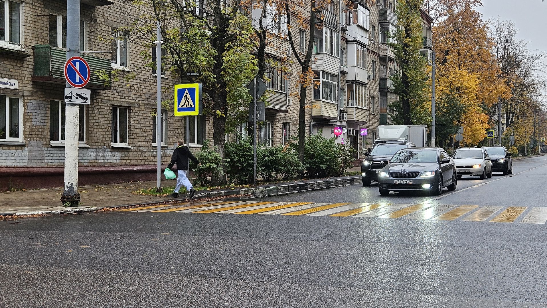 долгопрудный,рейд, гаи, безопасный пешеходный переход,пдд,