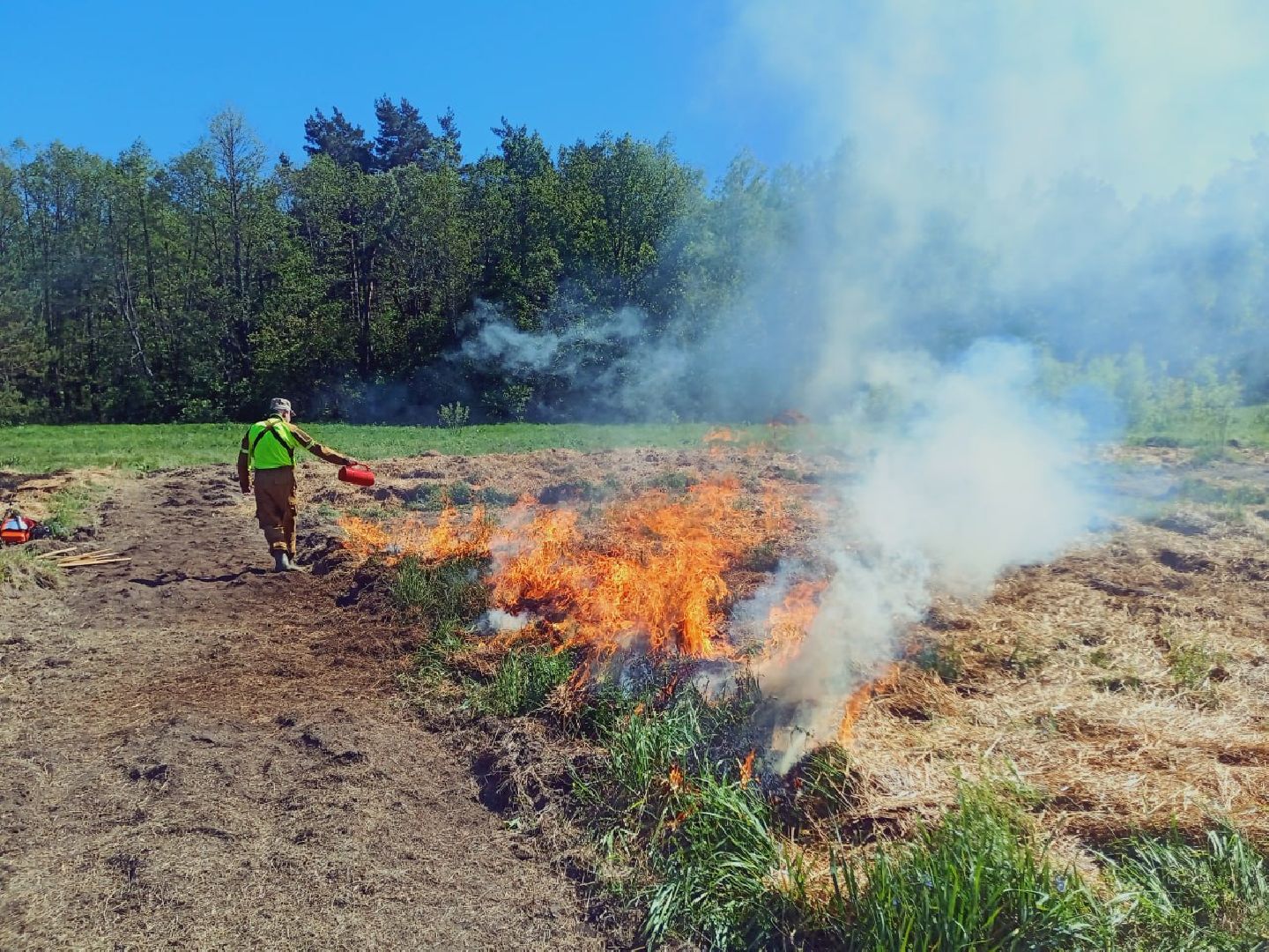 пушкино, лесное хозяйство,пожарная безопасность, пожарная безопасность в лесу, возгорание, тушение пожаров,лесовосстановление,фосфоритный, уникальная методика,