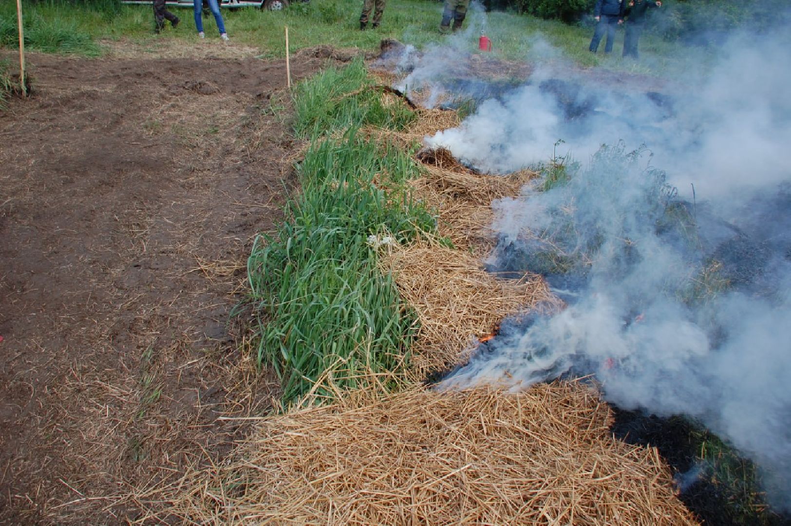 пушкино, лесное хозяйство,пожарная безопасность, пожарная безопасность в лесу, возгорание, тушение пожаров,лесовосстановление,фосфоритный, уникальная методика,