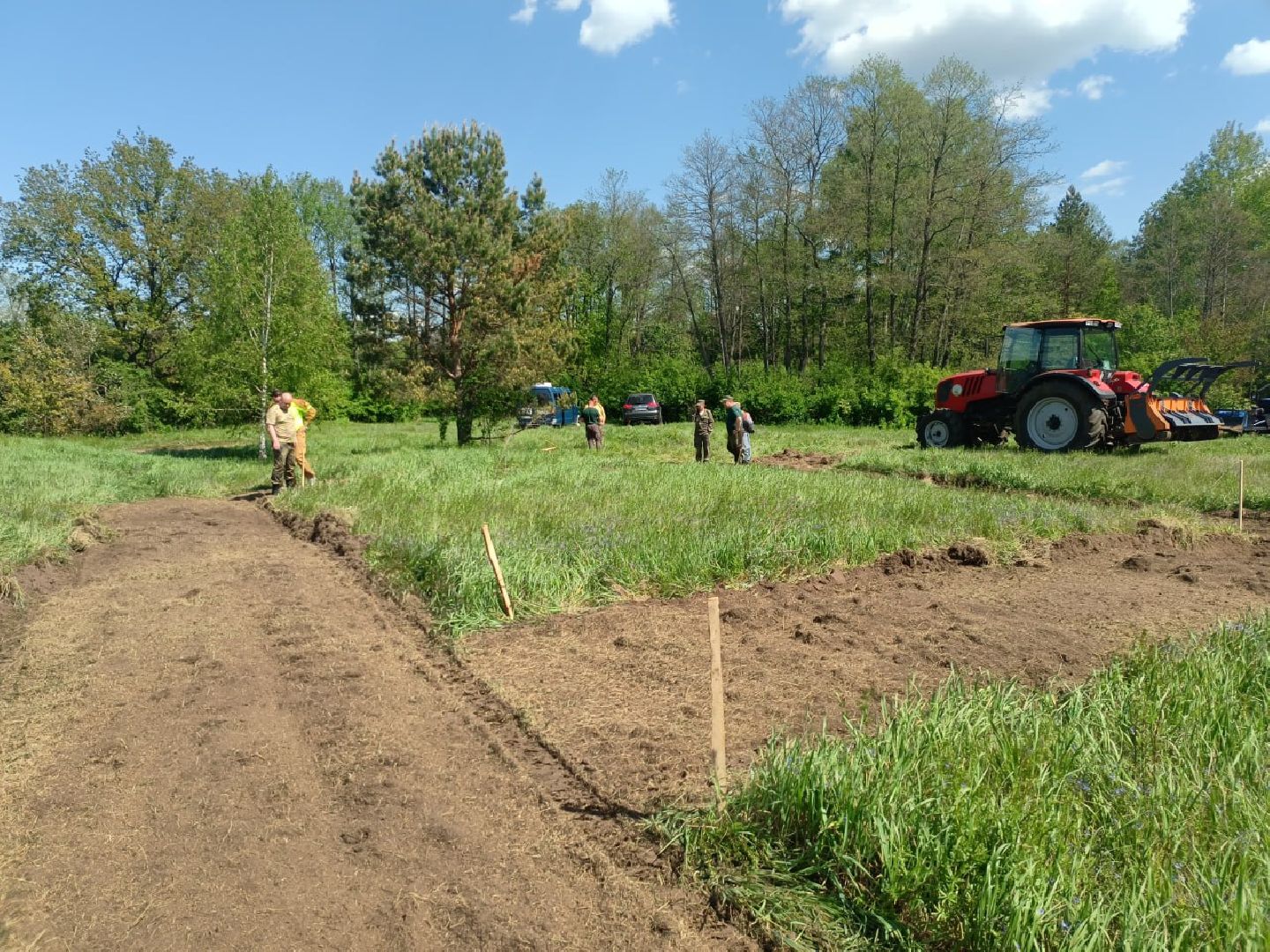 пушкино, лесное хозяйство,пожарная безопасность, пожарная безопасность в лесу, возгорание, тушение пожаров,лесовосстановление,фосфоритный, уникальная методика,