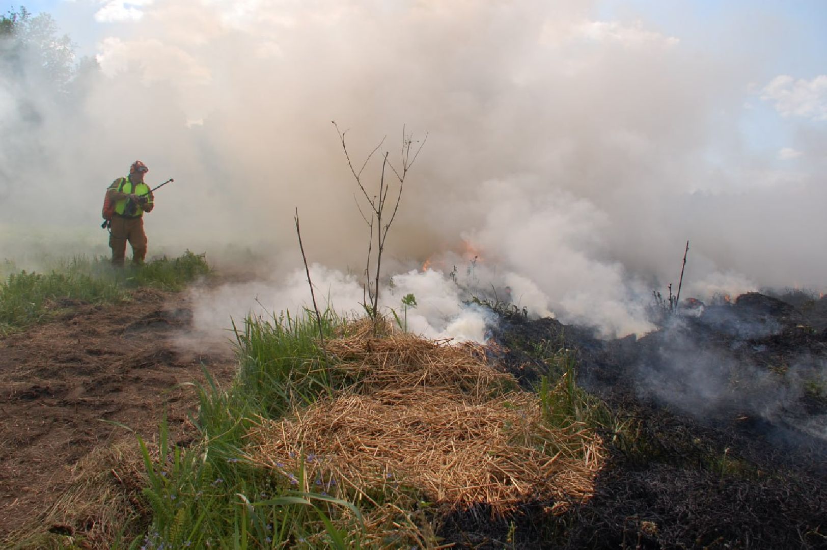 пушкино, лесное хозяйство,пожарная безопасность, пожарная безопасность в лесу, возгорание, тушение пожаров,лесовосстановление,фосфоритный, уникальная методика,