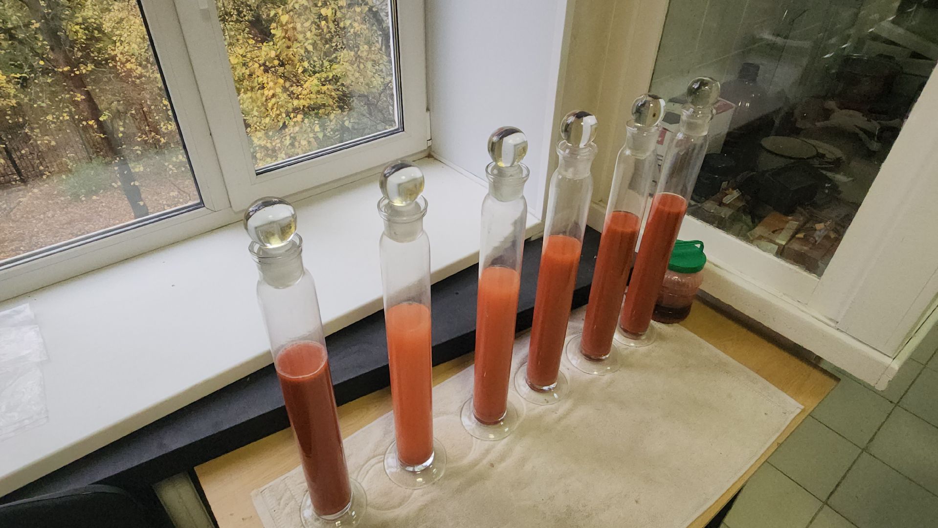 пушкино, лесное хозяйство,пожарная безопасность, пожарная безопасность в лесу, возгорание, тушение пожаров,лесовосстановление,фосфоритный, уникальная методика,