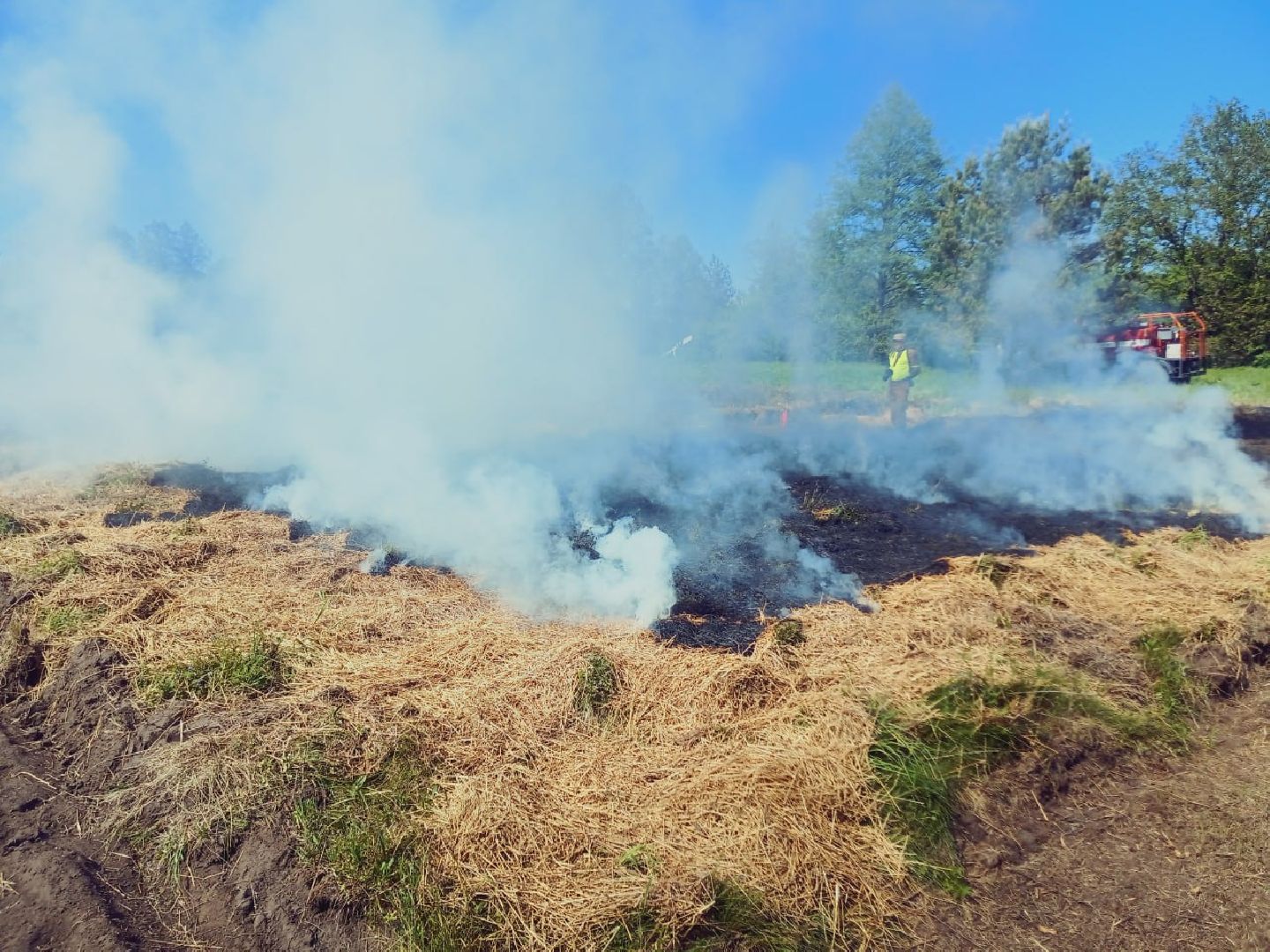 пушкино, лесное хозяйство,пожарная безопасность, пожарная безопасность в лесу, возгорание, тушение пожаров,лесовосстановление,фосфоритный, уникальная методика,