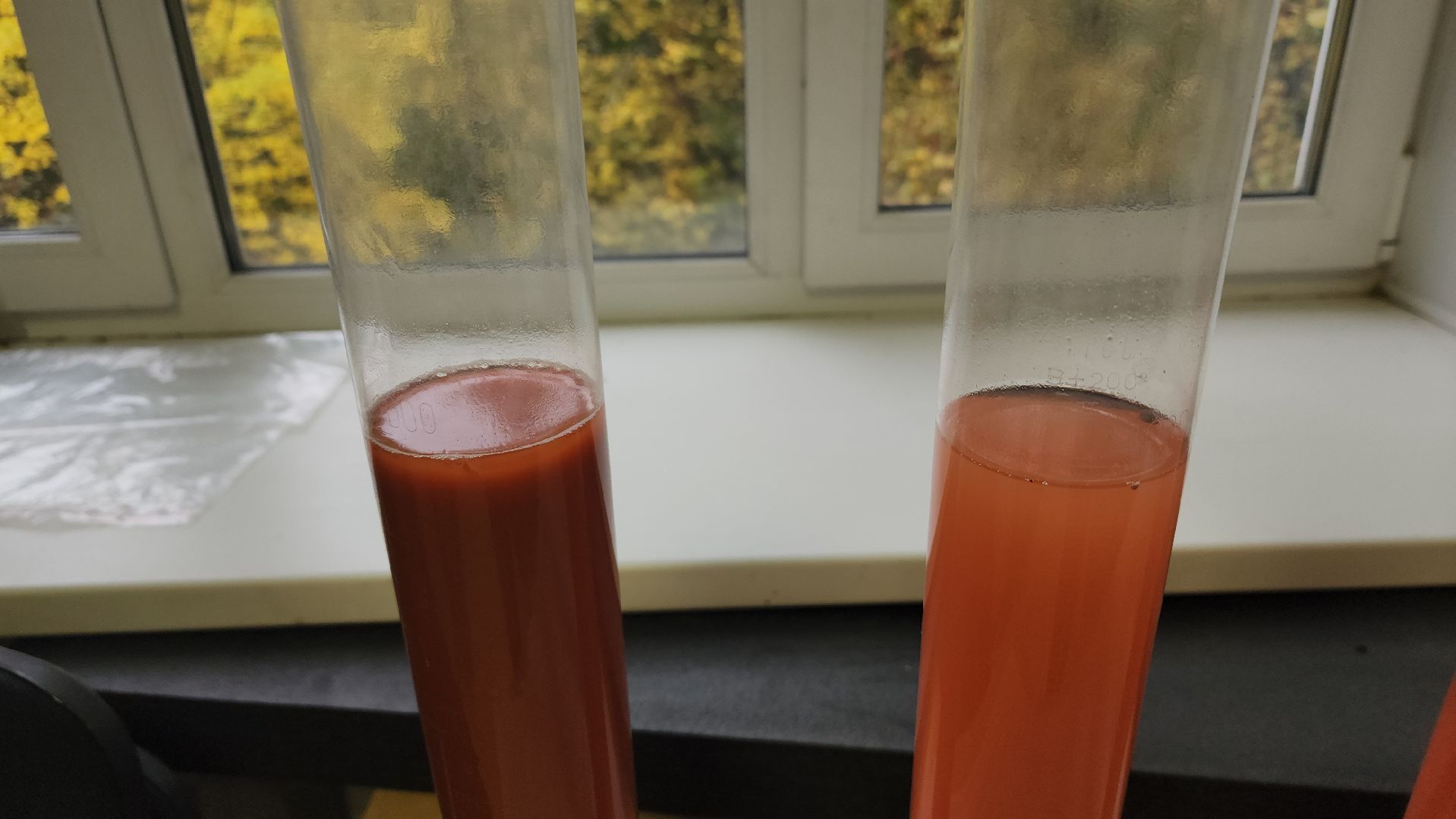 пушкино, лесное хозяйство,пожарная безопасность, пожарная безопасность в лесу, возгорание, тушение пожаров,лесовосстановление,фосфоритный, уникальная методика,