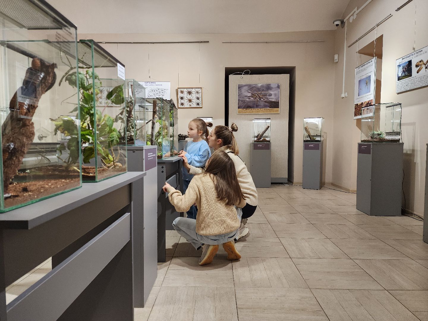 раменское, культура, раменский историко-художественный музей, выставка планета пауков,