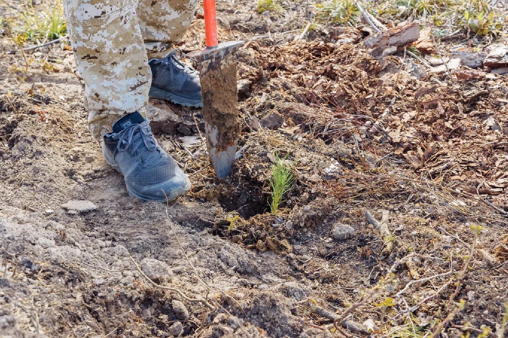 Лес Победы, Орехово-Зуево, анонс, Сад памяти