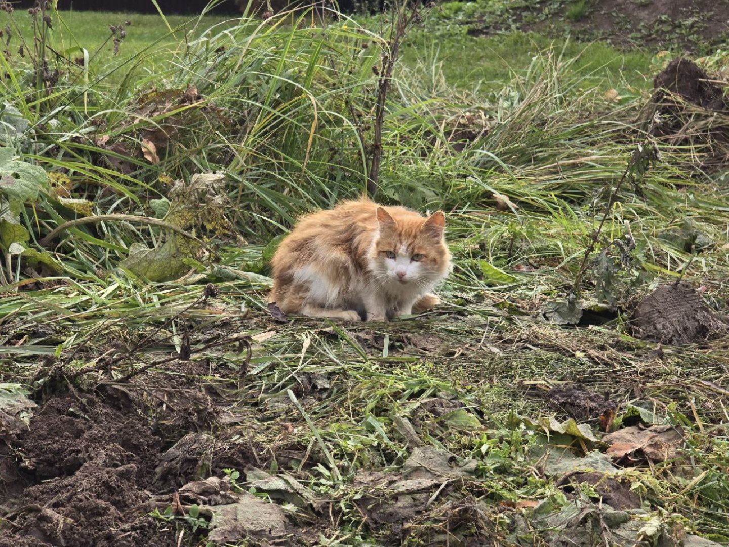можайск, можайский муниципальный округ, подмосковье, ремонт пожарных водоемов, противопожарный пруд, безопасность, благоустройство,