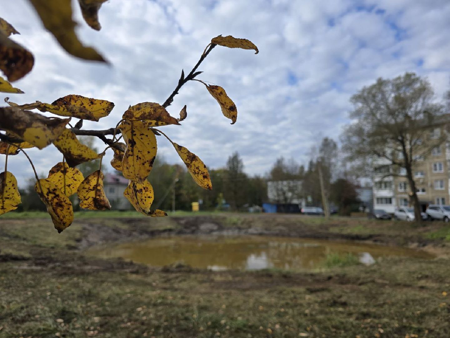 можайск, можайский муниципальный округ, подмосковье, ремонт пожарных водоемов, противопожарный пруд, безопасность, благоустройство,