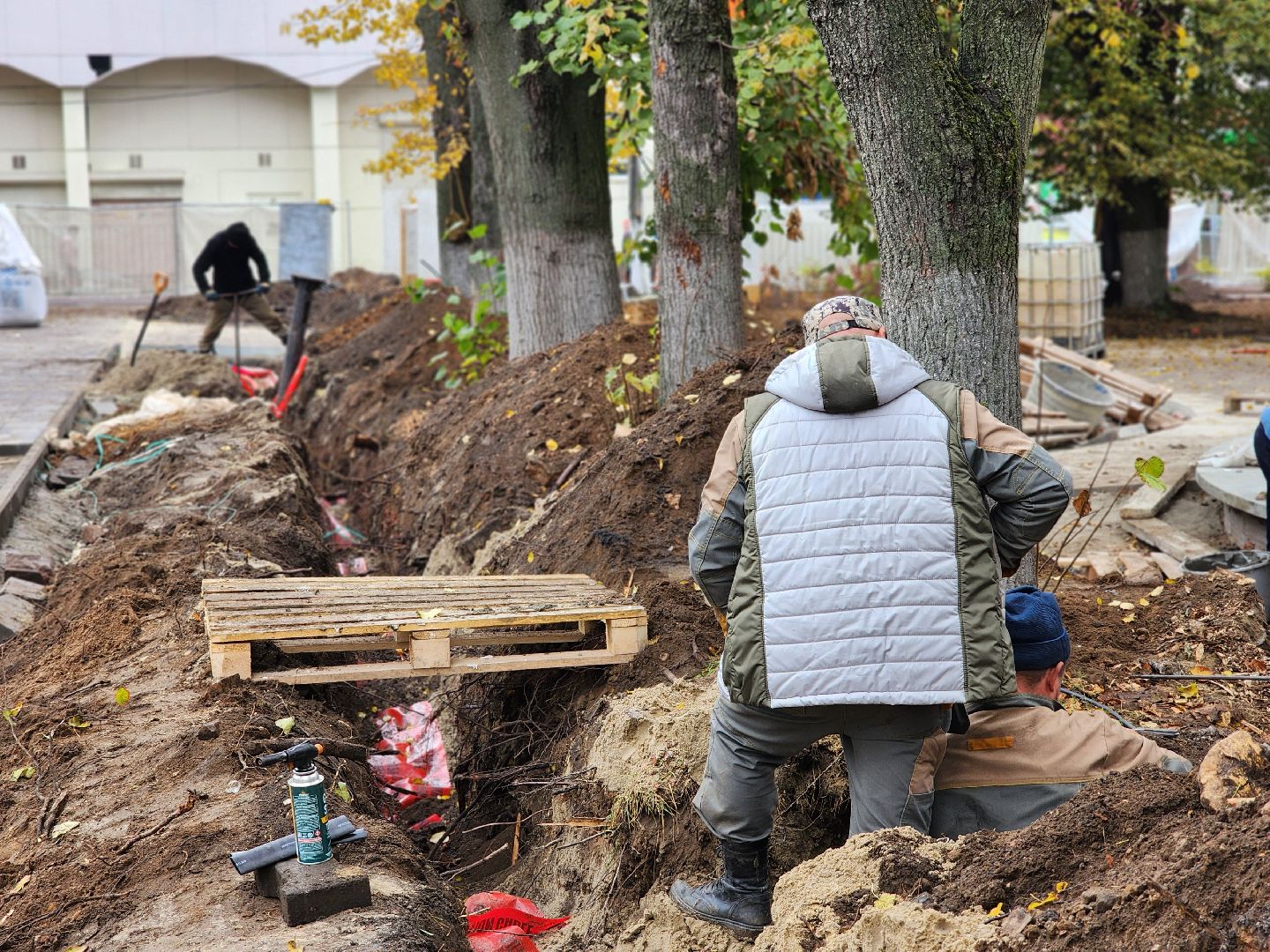 благоустройство, сквер, программа благоустройства, ногинск, богородский городской округ,